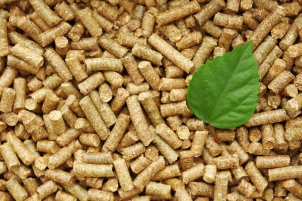 pellet drzewny