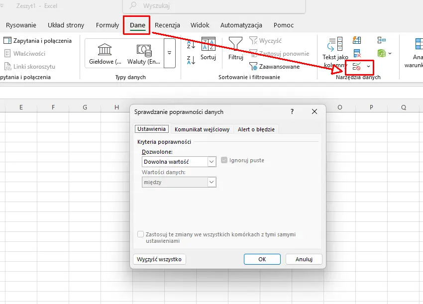 excel poprawnosc danych